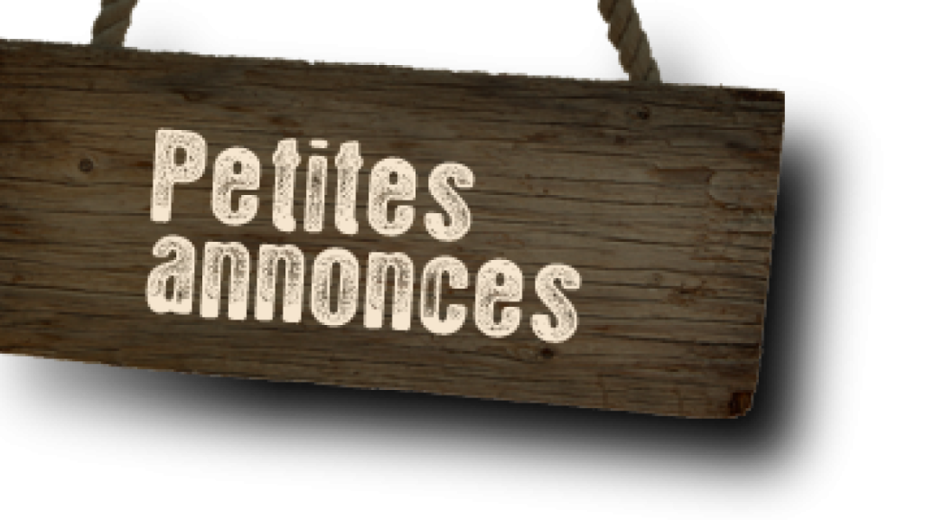 Pettite Annnonce 1024x576
